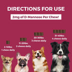Nootie Progility Mini Urinary Support - Suplemento Urinario para Perros Pequeños, 60 Chews Blandos
