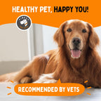 Multivitamínico para Perros 10 en 1 con Omega Fish Oil y Glucosamina – 120 Masticables