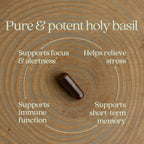 New Chapter Holy Basil Force - Suplemento de Albahaca Santa para el Estrés, 120 Cápsulas Vegetarianas