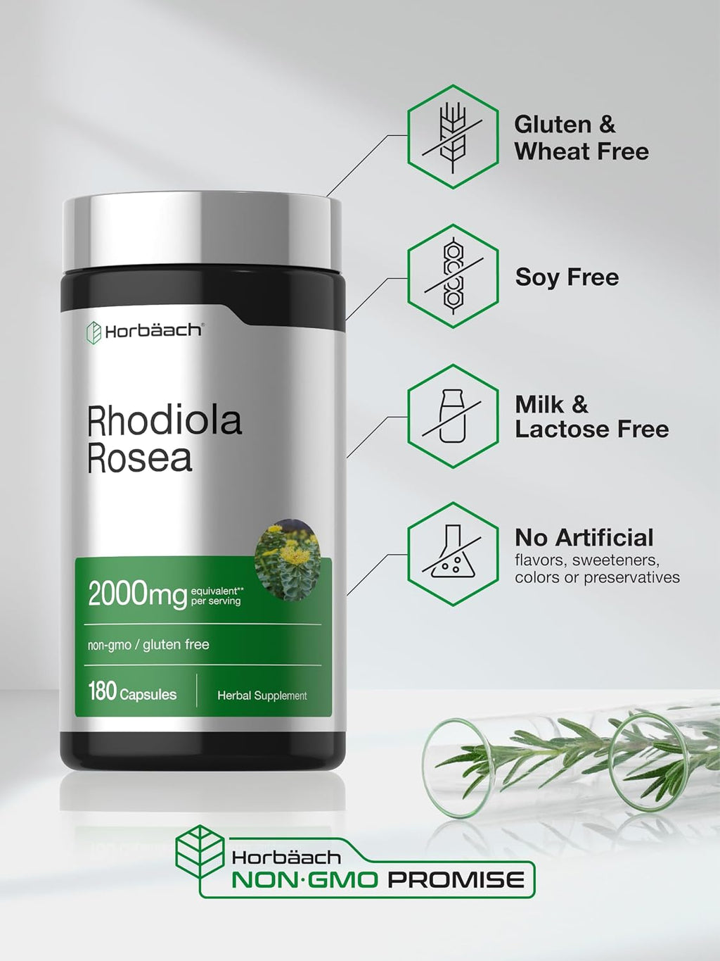 Horbäach Rhodiola Rosea Cápsulas | 180 Cápsulas | Suplemento No GMO, Sin Gluten