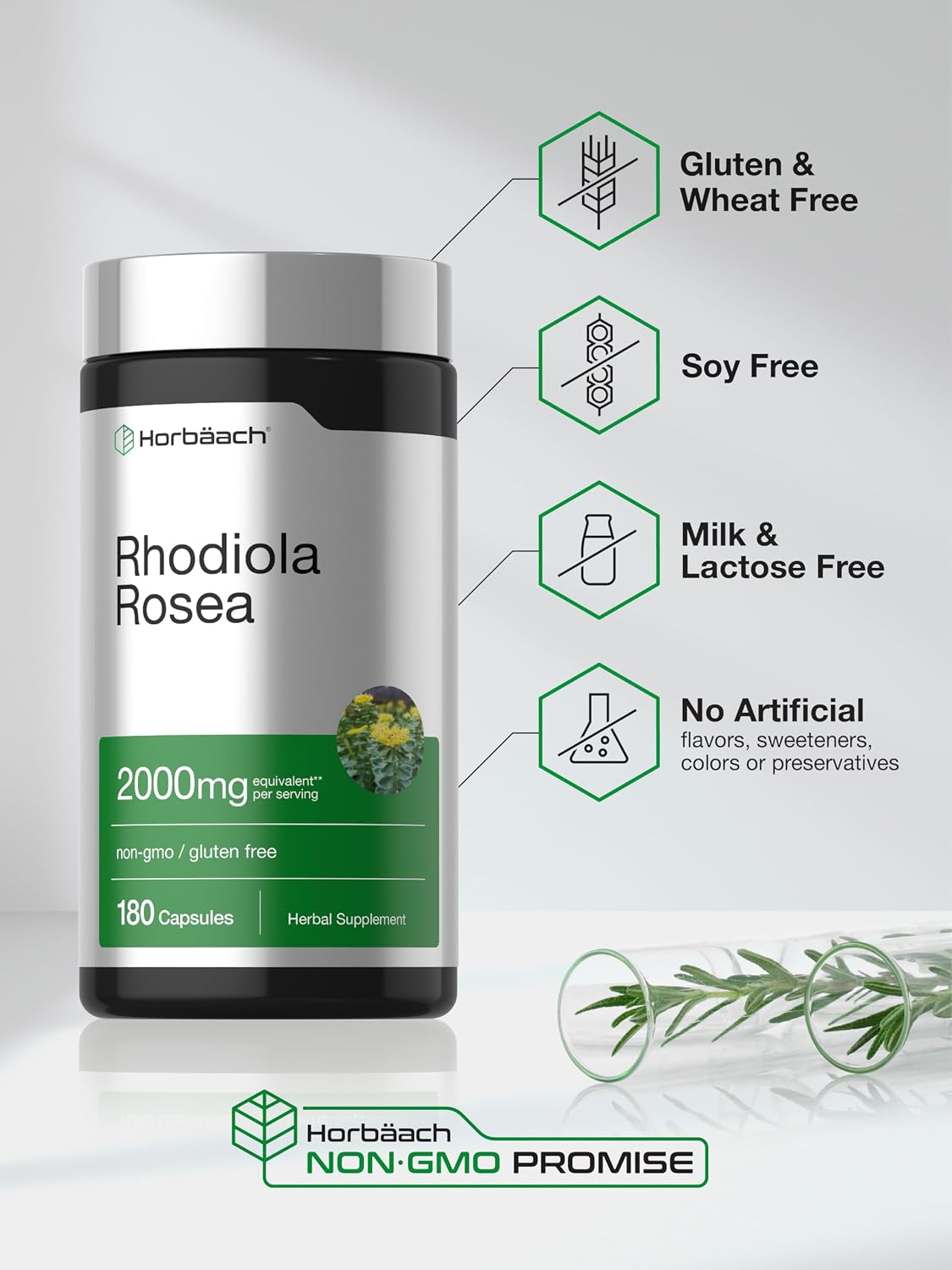Horbäach Rhodiola Rosea Cápsulas | 180 Cápsulas | Suplemento No GMO, Sin Gluten