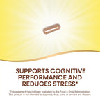 Nature's Way Clear Thinking Cognitivo, Ashwagandha, Reduce el Estrés y Apoya el Rendimiento Cognitivo, 40 Cápsulas