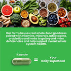 Earth's Blend Multivitamínico Diario Sin Hierro - Paradise Herbs