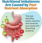 5Strands Test de Nutrición – Análisis de 112 Vitaminas, Minerales y Aminoácidos en Casa