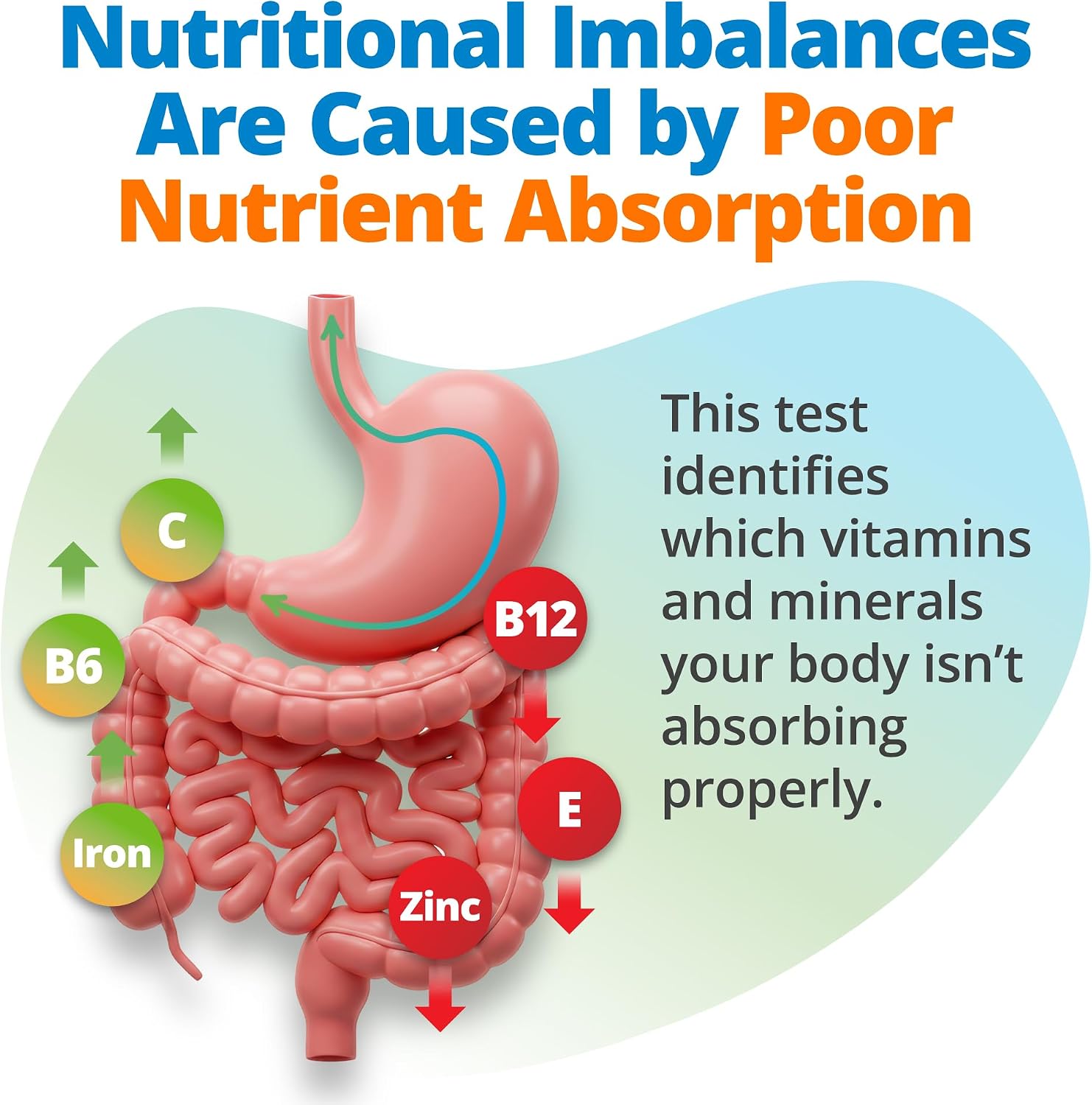 5Strands Test de Nutrición – Análisis de 112 Vitaminas, Minerales y Aminoácidos en Casa