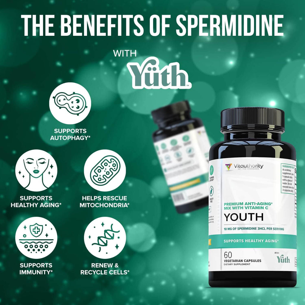 Vitauthority Espermidina 3HCL 99% - Apoyo Celular y Longevidad - 60 Dosis