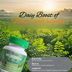 Orparst Cápsulas de Moringa 800mg, 90 Cápsulas, No-GMO y Sin Gluten