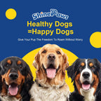 SHINEPAWS Omega 3 para Perros, Masticables de Aceite de Salmón con Omega 3 6 9 (EPA+DHA), Zinc, Biotina y Vitaminas E y C - 120 unidades, Sabor Pollo