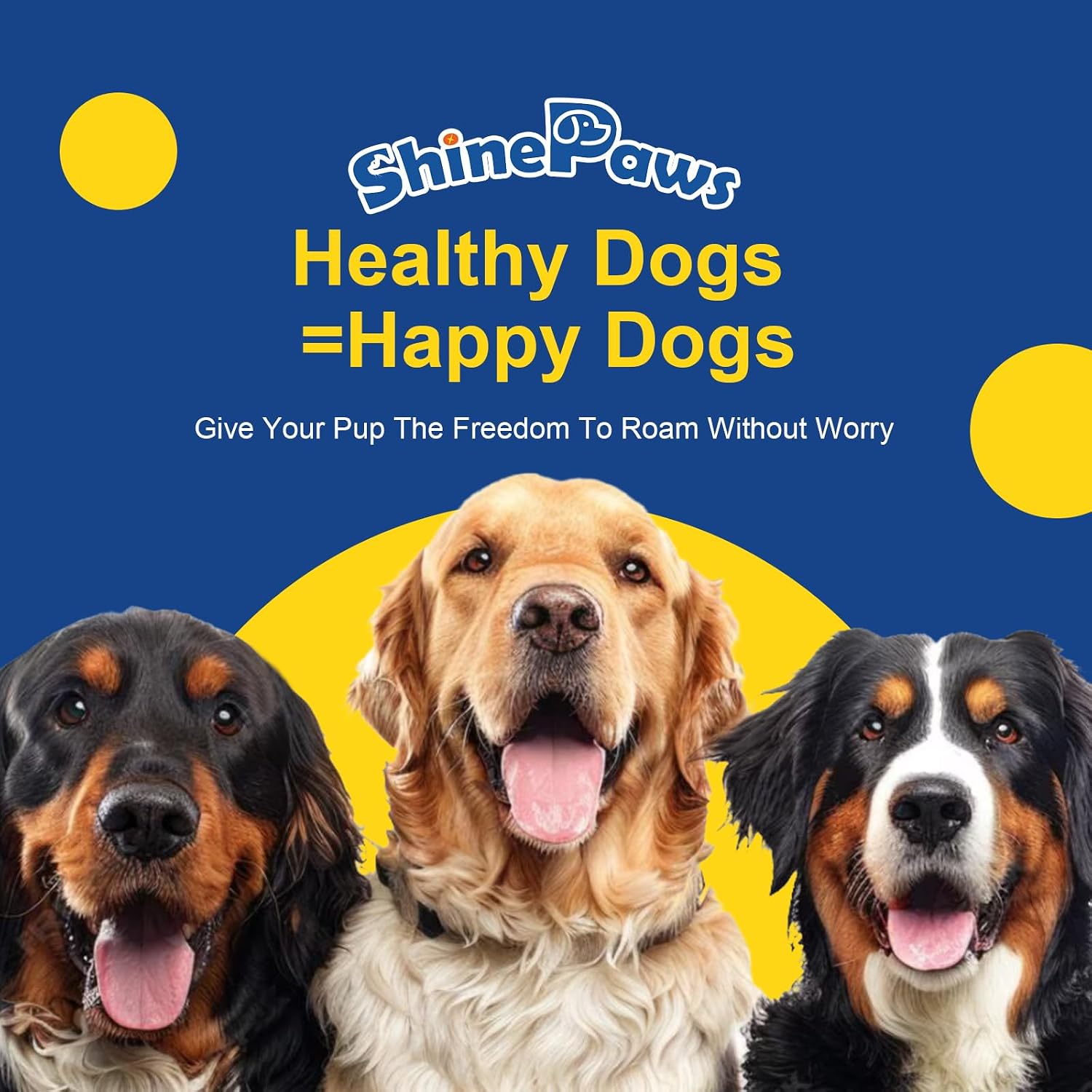 SHINEPAWS Omega 3 para Perros, Masticables de Aceite de Salmón con Omega 3 6 9 (EPA+DHA), Zinc, Biotina y Vitaminas E y C - 120 unidades, Sabor Pollo