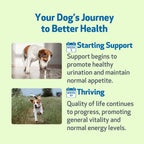Pet Wellbeing Kidney Support Gold para Perros - Complemento Herbal para la Función Renal y Vitalidad - Formulado por Veterinarios - 59 ml