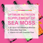 Sea Moss Liquid Drops - Musgo Marino Irlandés Orgánico con Aceite de Semilla Negra, Espirulina, Saúco y Vitaminas C y D3