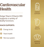 Solgar Niacin (Vitamin B3) 500 mg, 250 Vegetable Capsules