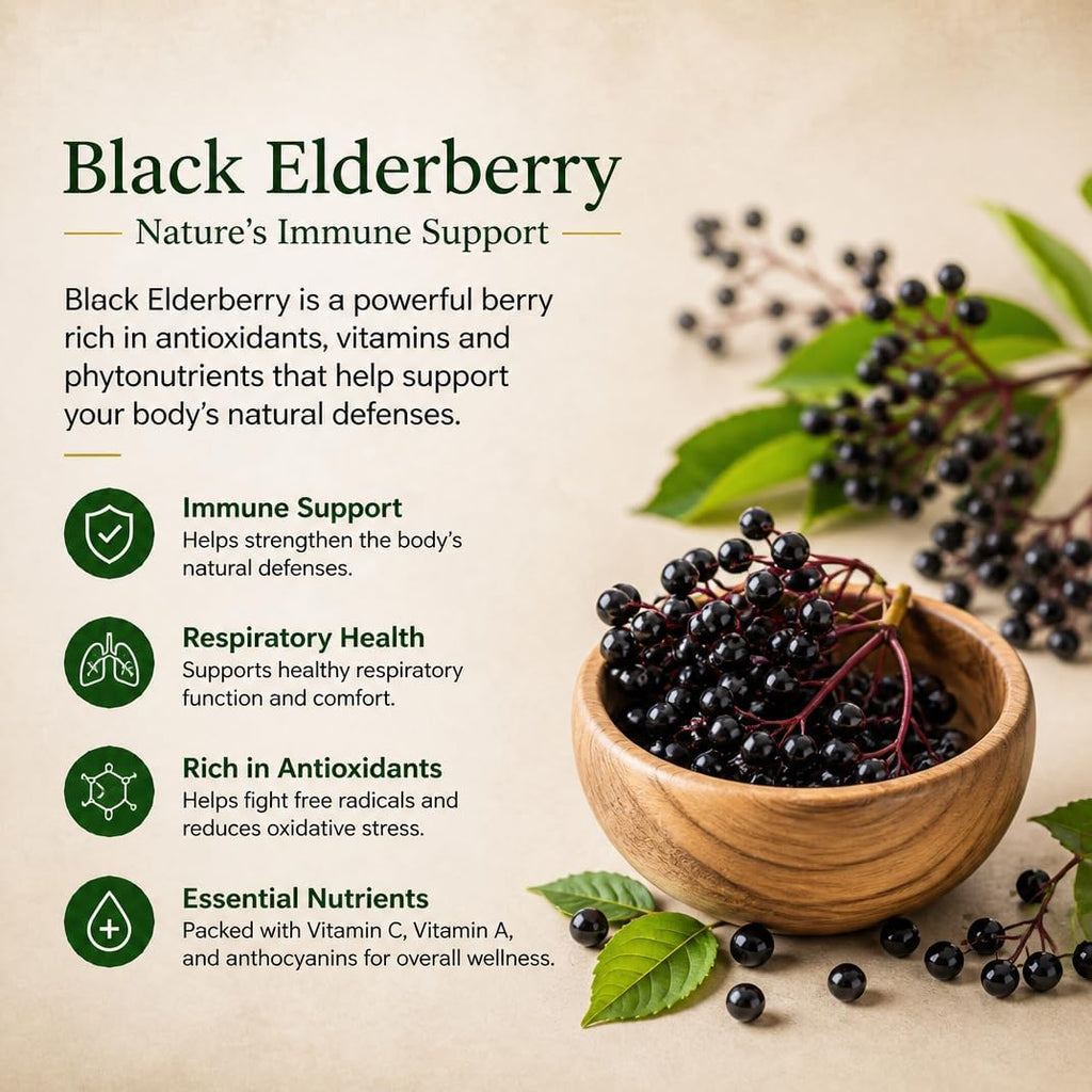 Super Immune Support, 6-in-1 Immune Supplement, N-Acetyl Cysteine (NAC), Quercetin, Elderberry, Chlorella, Chaga & Bromelain