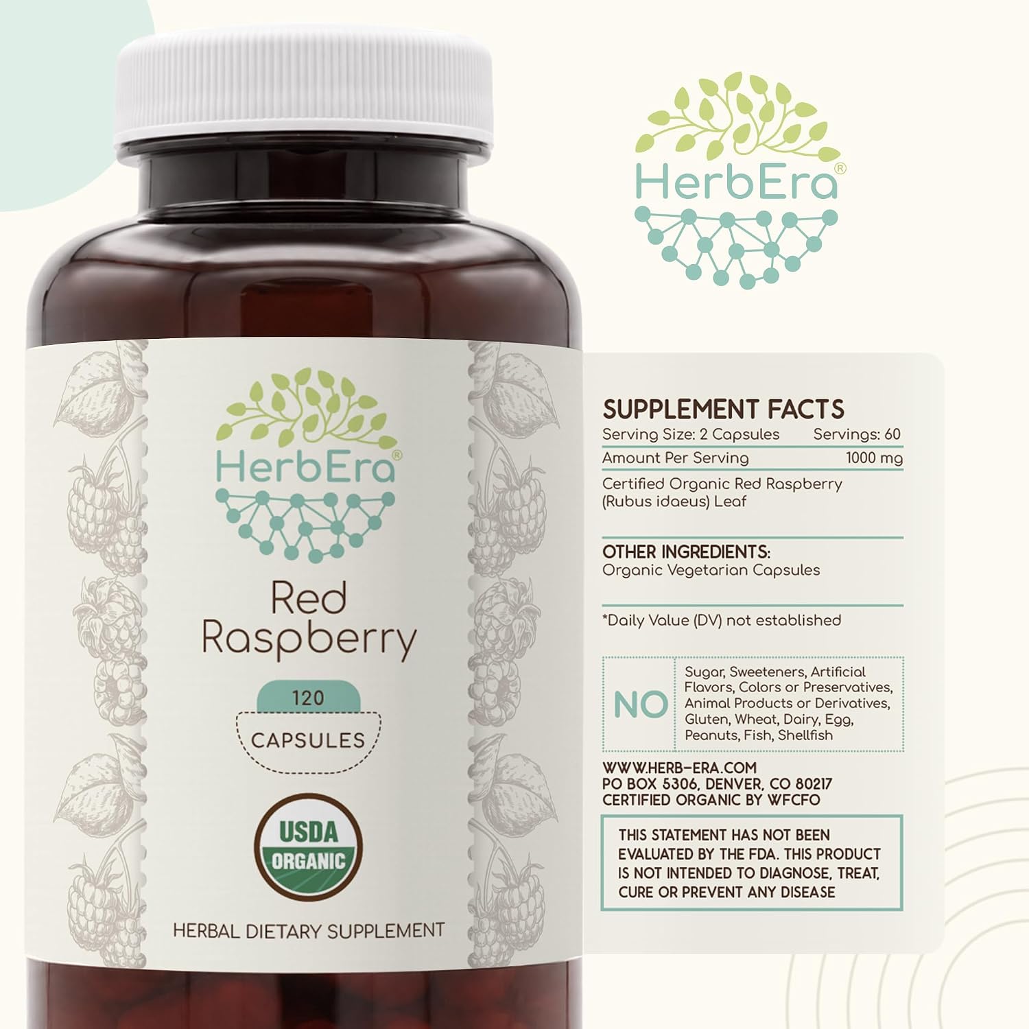 HerbEra Cápsulas de Hoja de Frambuesa Roja Ecológicas – Apoyo para el Bienestar Femenino, Rubus Idaeus, Vegano (120 Cápsulas)