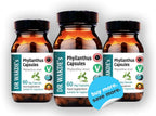 DR WAKDE's Cápsulas de Phyllanthus (Bhumi-amla/Bhumyamalaki) - 100% Herbal - 60 Cápsulas Veganas - Suplemento Ayurvédico