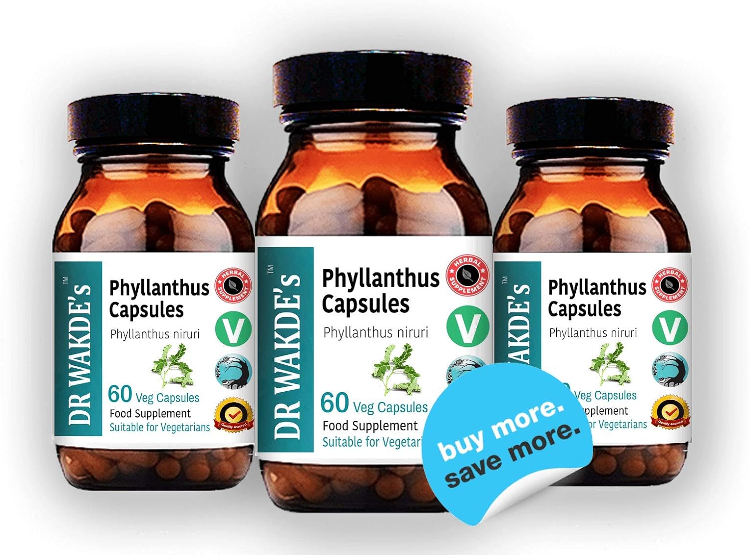 DR WAKDE's Cápsulas de Phyllanthus (Bhumi-amla/Bhumyamalaki) - 100% Herbal - 60 Cápsulas Veganas - Suplemento Ayurvédico