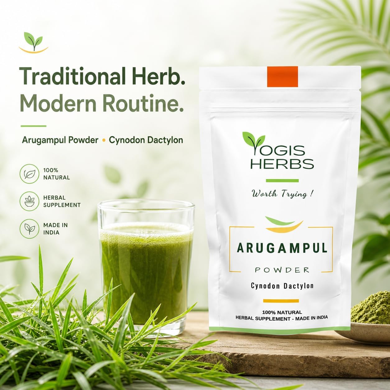 Polvo de Arugampul (Cynodon dactylon) - YOGIS HERBS - Hierba Tradicional Tamil