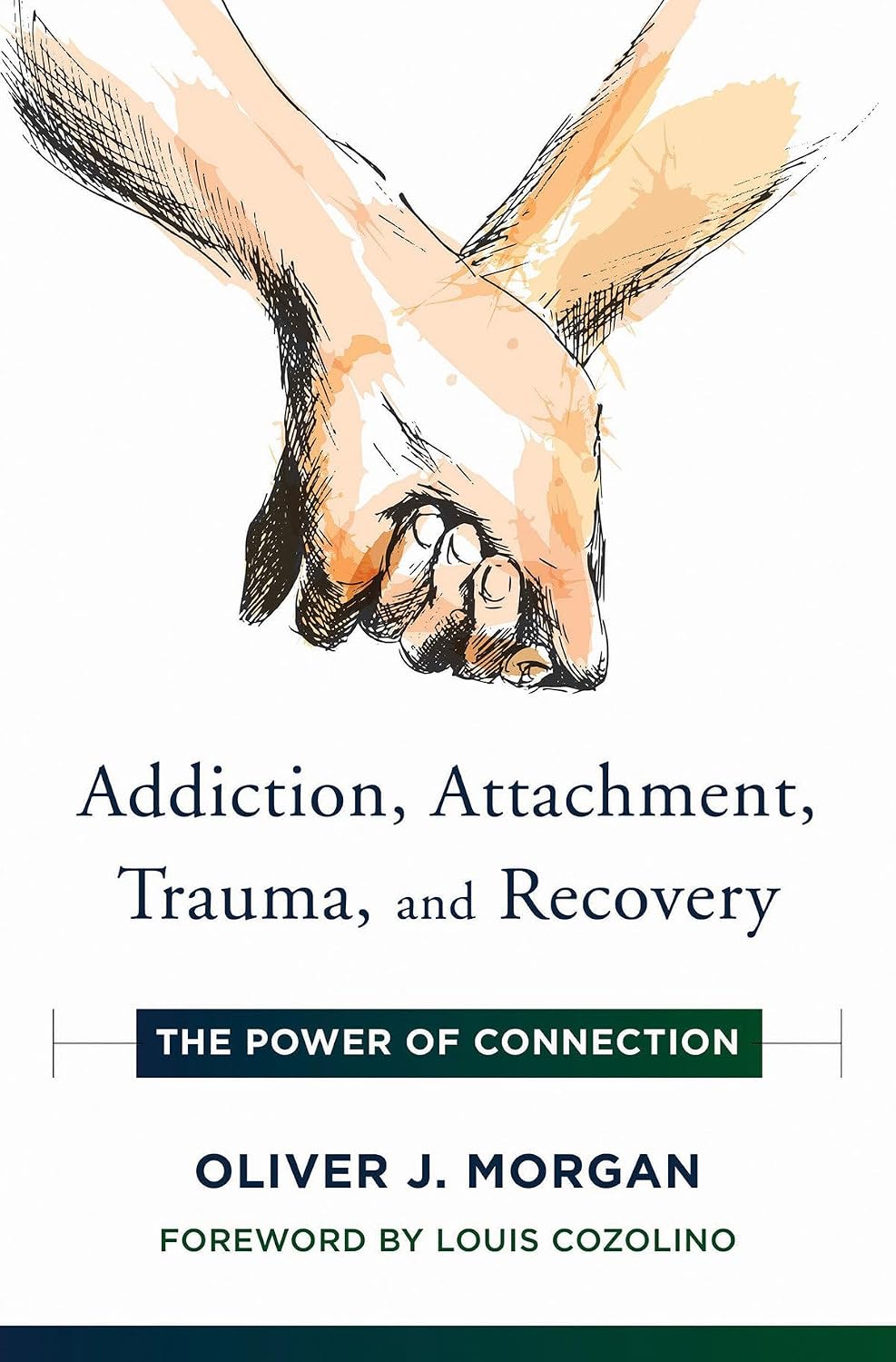 Addiction, Attachment, Trauma and Recovery: The Power of Connection (Norton Series on Interpersonal Neurobiology) - görsel 1