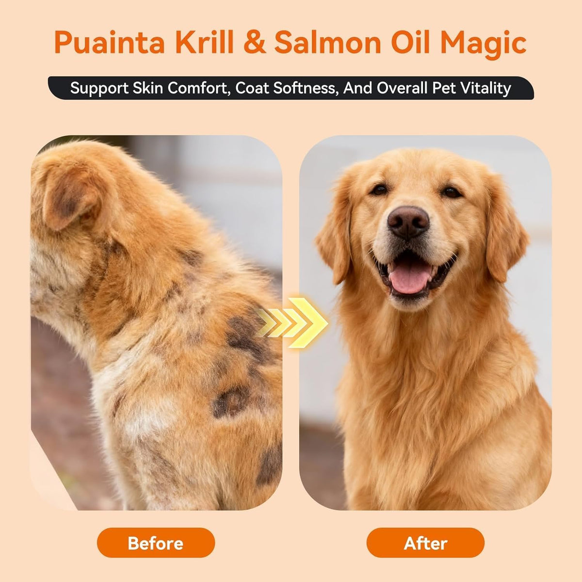 PUAINTA Omega 3 Aceite de Pescado para – Reducción de la muda excesiva: Al mejorar la salud de la piel y el – Image 5