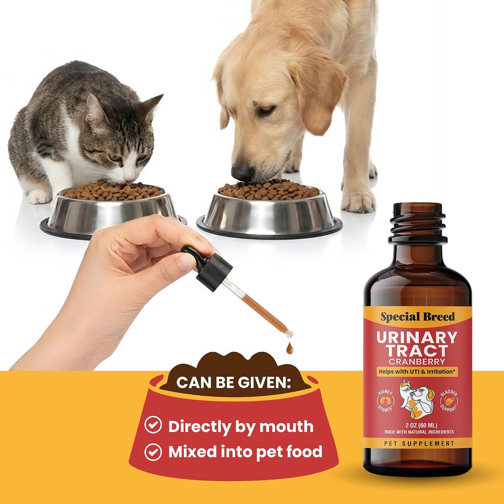 Tratamiento Natural para Infección Urinaria en Perros y Gatos – Gotas de Arándano para Riñón y Vejiga