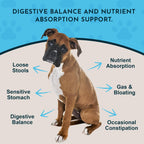 Animal Essentials Plant Enzyme & Probiotics - Probióticos y Enzimas Digestivas para Perros y Gatos - 99 g (3.5 oz)