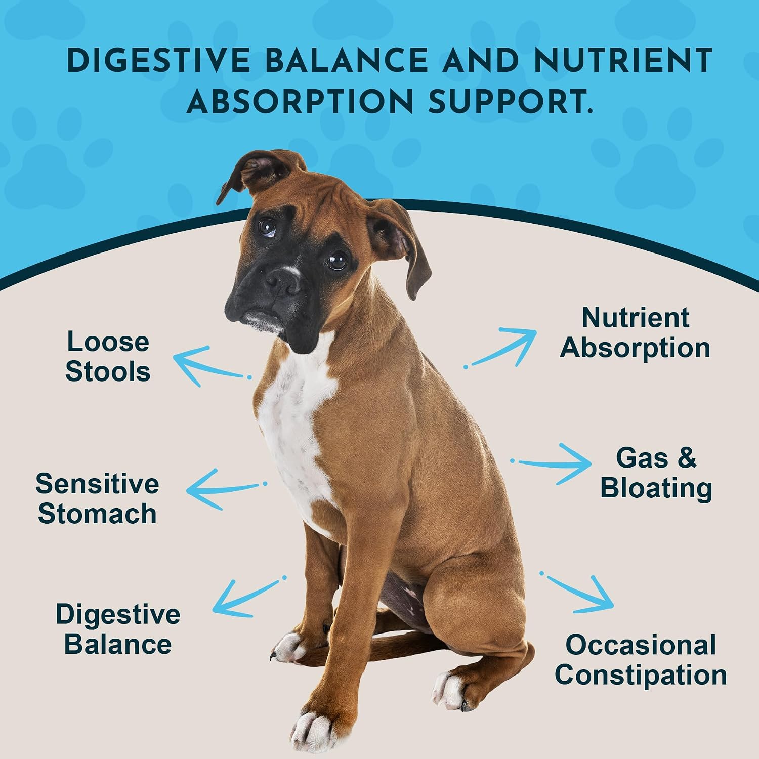 Animal Essentials Plant Enzyme & Probiotics - Probióticos y Enzimas Digestivas para Perros y Gatos - 99 g (3.5 oz)
