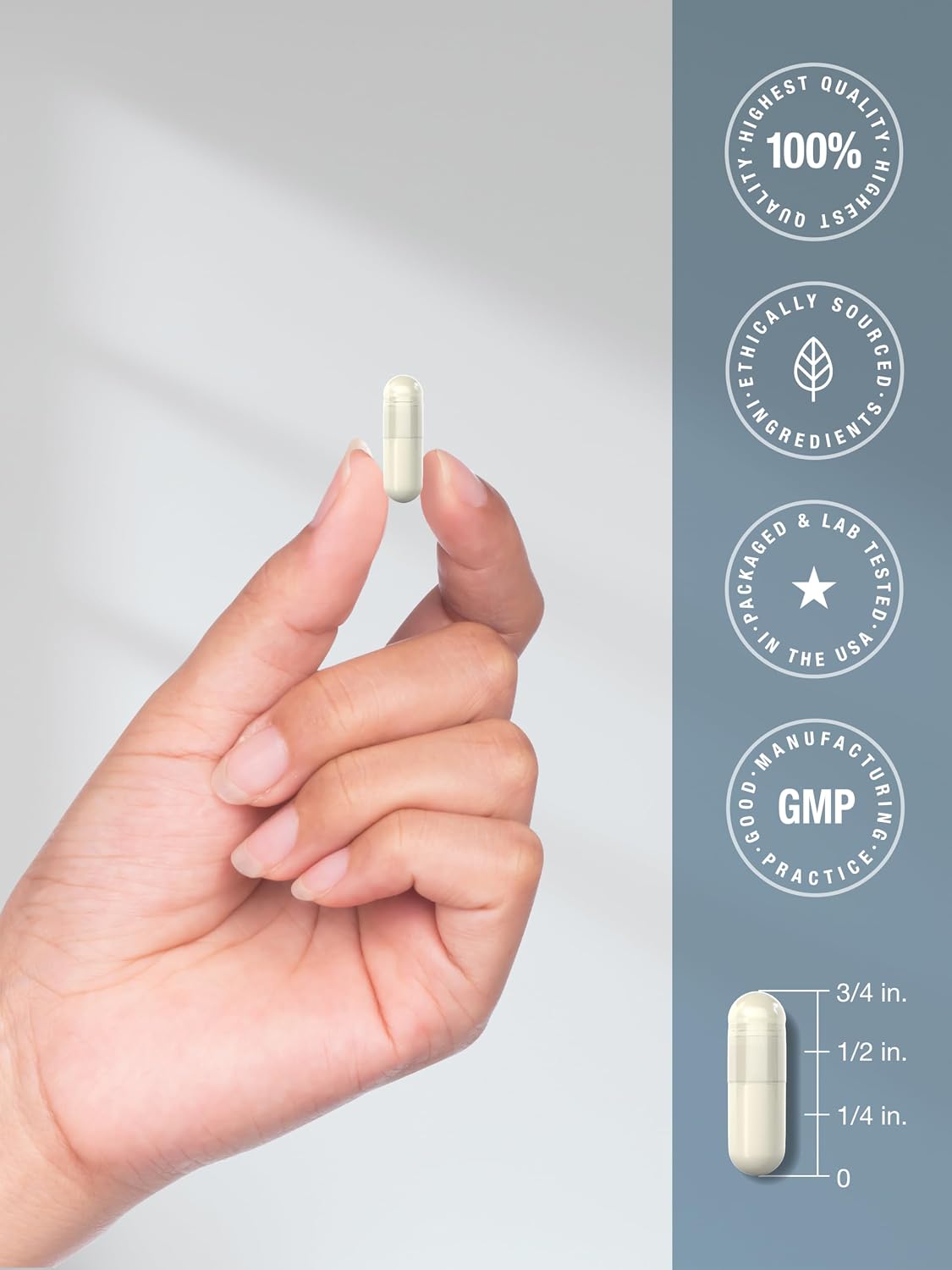 Horbäach Metilfolato | 1000 mcg | 200 Cápsulas | 5-MTHF | Sin Gluten, No-GMO
