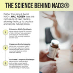 BIOSTACK NAD Regen – Suplemento NAD3 con Espermidina, Resveratrol y Niacinamida | Alternativa NMN | 30 Días