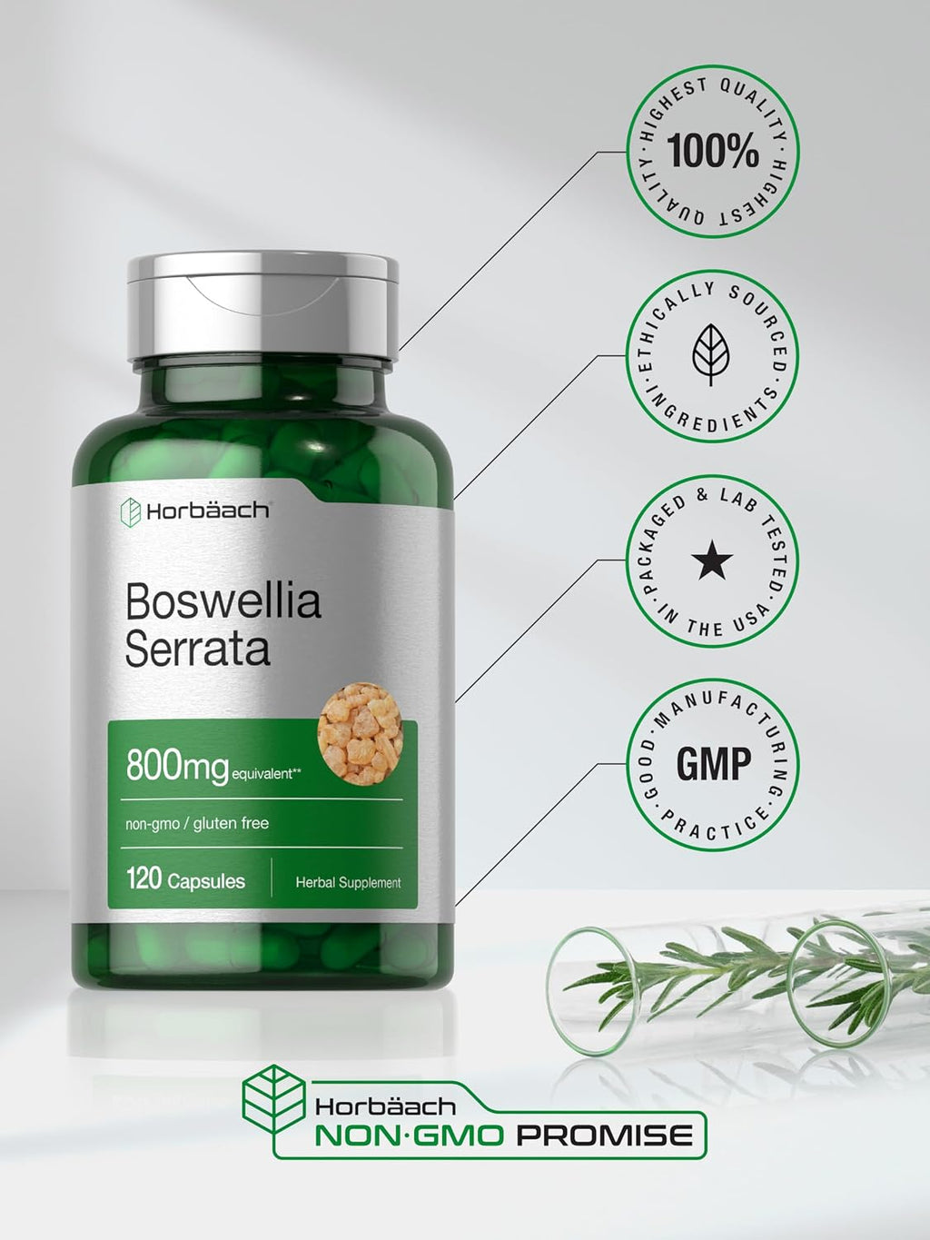 Horbäach Extracto de Boswellia Serrata en Cápsulas | 120 uds | Suplemento Herbal | No Transgénico, Sin Gluten