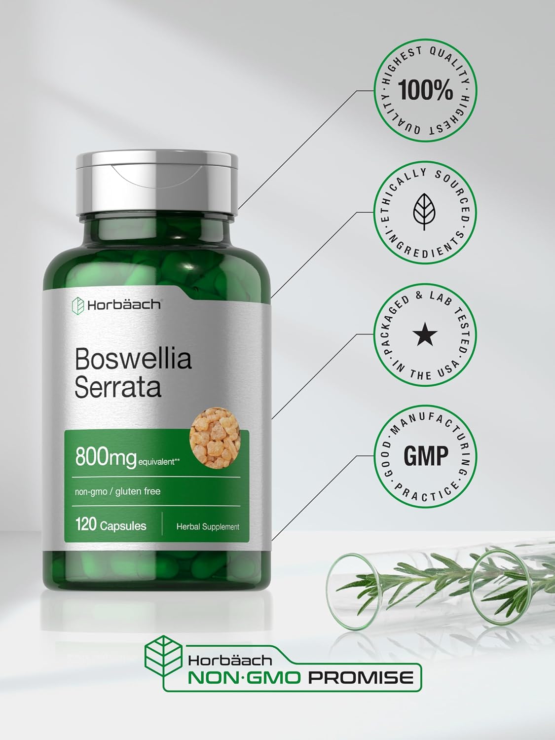 Horbäach Extracto de Boswellia Serrata en Cápsulas | 120 uds | Suplemento Herbal | No Transgénico, Sin Gluten