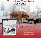Daybreak Nutrition Probióticos para Perros y Gatos - 6 Mil Millones UFC con Prebióticos - 30 Días