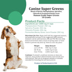 Holistic Bin Canine Super Greens - Complemento en polvo vegetal para perros (50g)