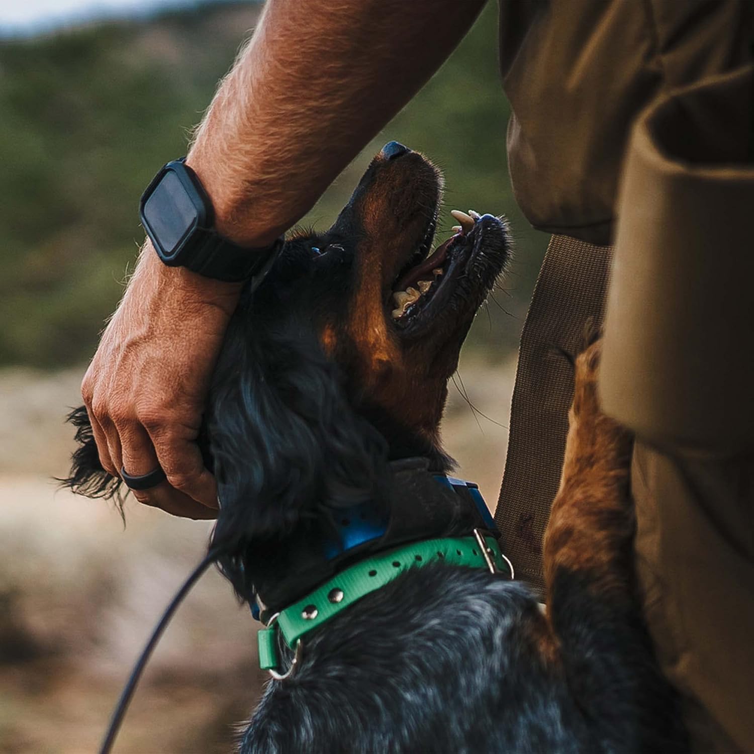 K9 Athlete K9 Pro Polvo Probiótico para Perros - Salud Digestiva e Inmunológica