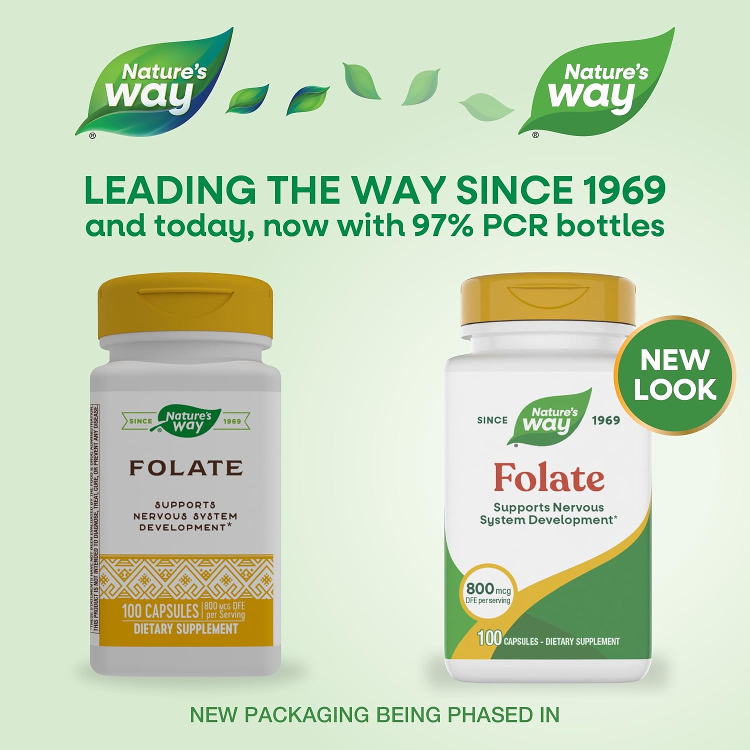 Ácido Fólico 800 mcg DFE – 100 Cápsulas de Nature's Way