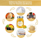 Gel de Musgo Marino con Ashwagandha y Sabor Mango - QANLOI 425g