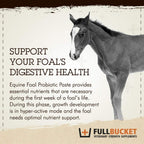 Pasta probiótica Health Foal, suplemento nutricional totalmente natural, tubo de 32.5 gramos