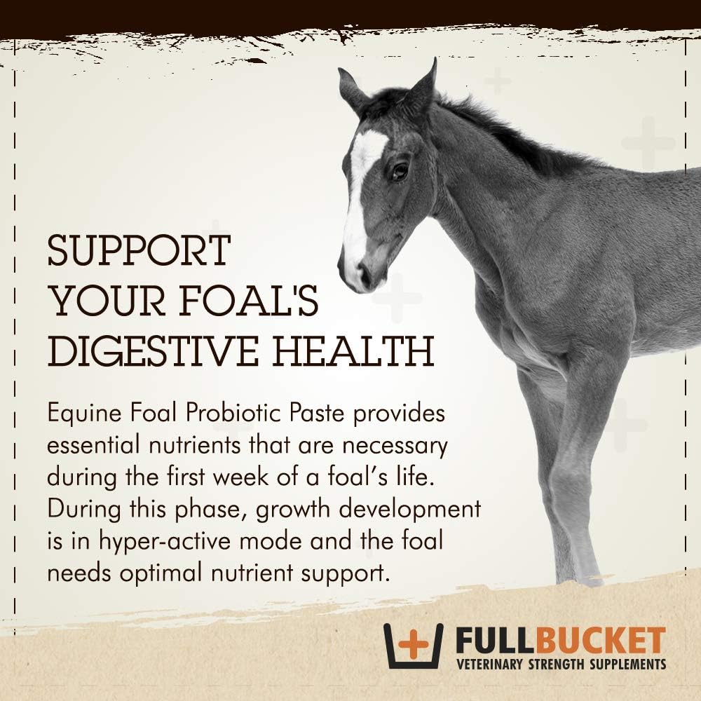 Pasta probiótica Health Foal, suplemento nutricional totalmente natural, tubo de 32.5 gramos