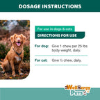 Wellnergy Probióticos y Prebióticos Diarios en Masticables Suaves para Perros y Gatos - 60 unidades