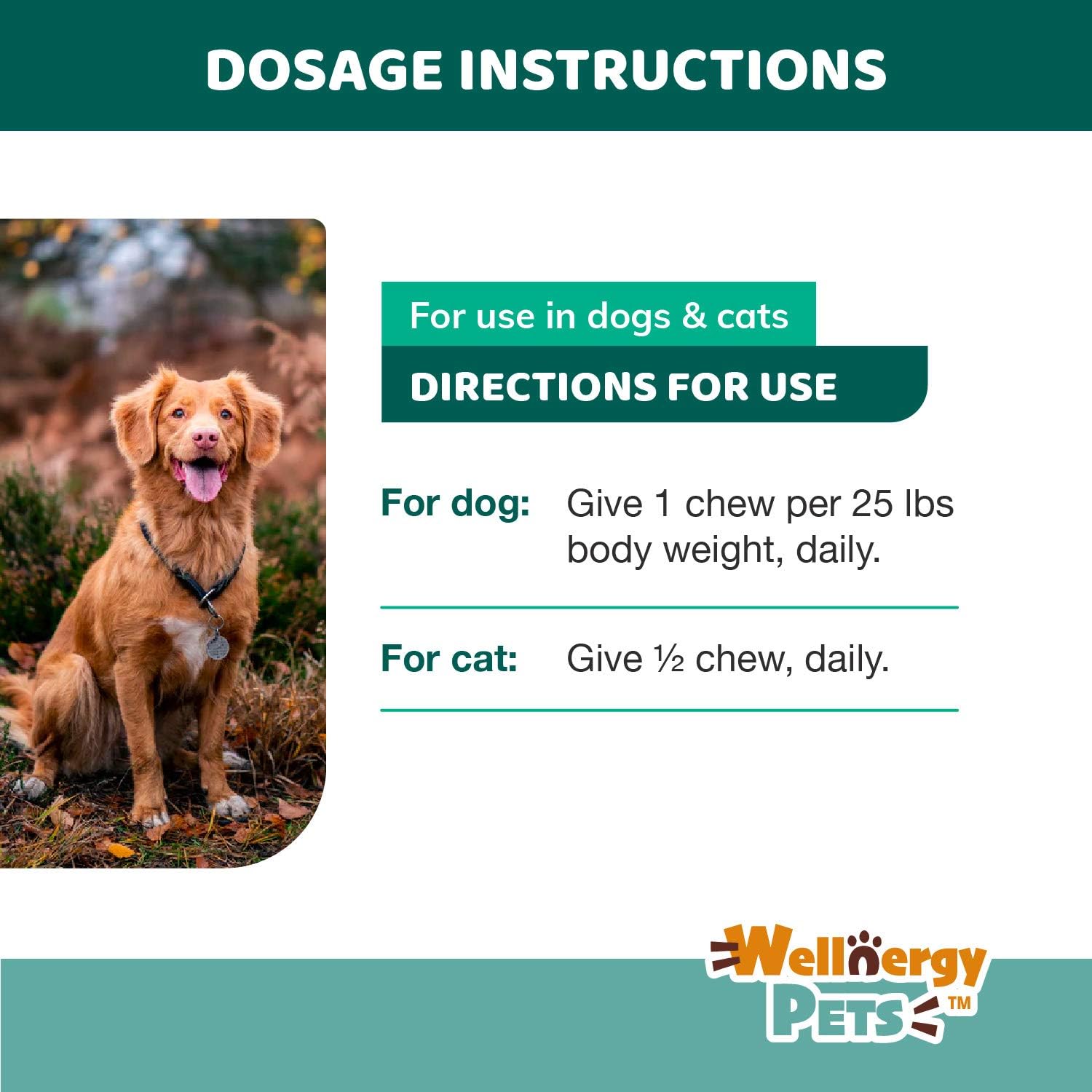 Wellnergy Probióticos y Prebióticos Diarios en Masticables Suaves para Perros y Gatos - 60 unidades