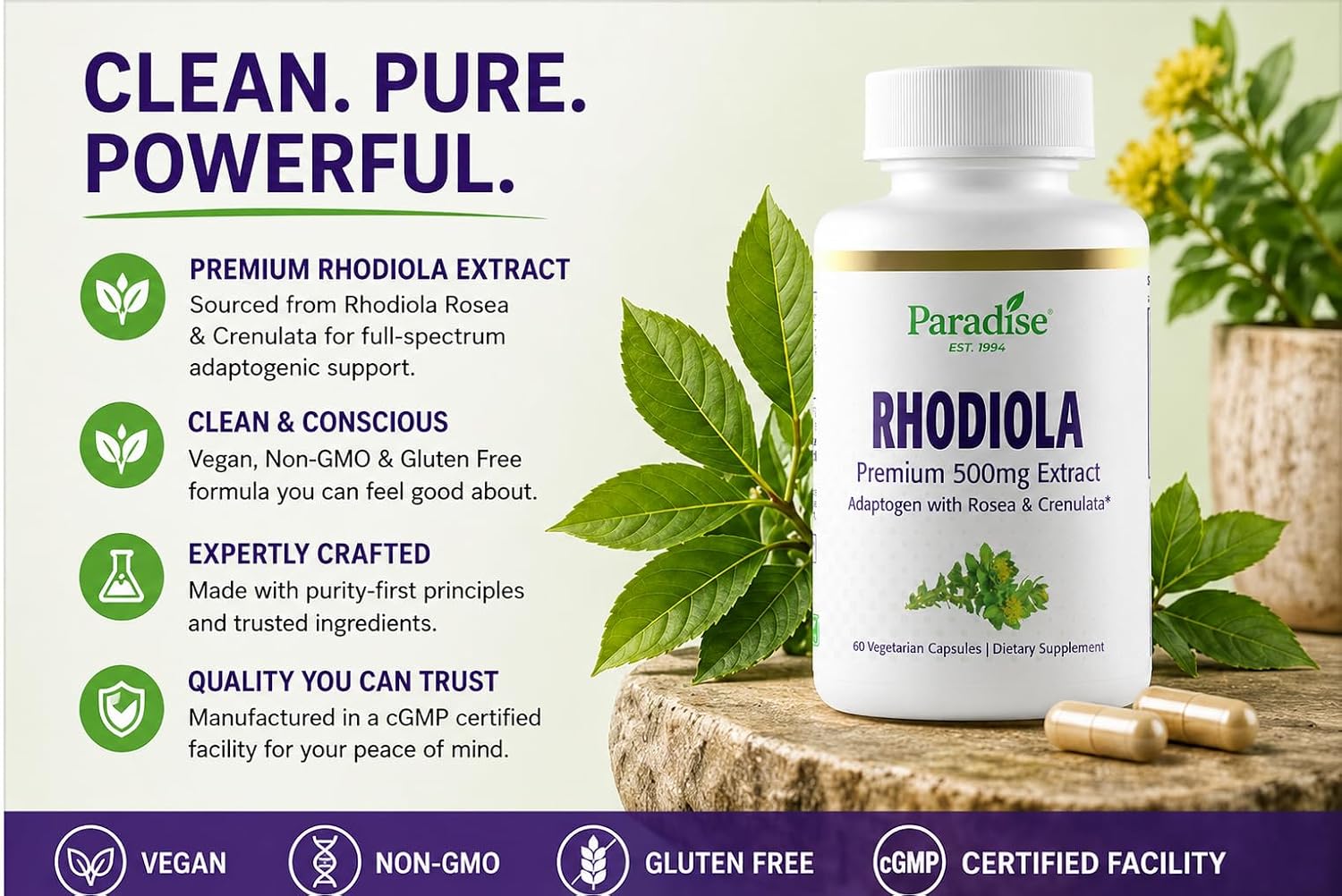Paradise Herbs Rhodiola Extract 500mg, 60 Cápsulas Vegetales