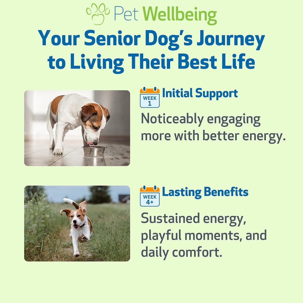 Pet Wellbeing Old Friend para Perros Senior - Suplemento Herbal para la Salud Inmunológica, Movilidad Articular y Niveles de Energía - 59 ml