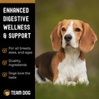 Team Dog Probióticos para Perros - Masticables Digestivos con Enzimas - 120 unidades