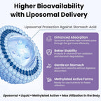 Complejo B Liposomal Líquido con Metilcobalamina y Metilfolato - 240 ml