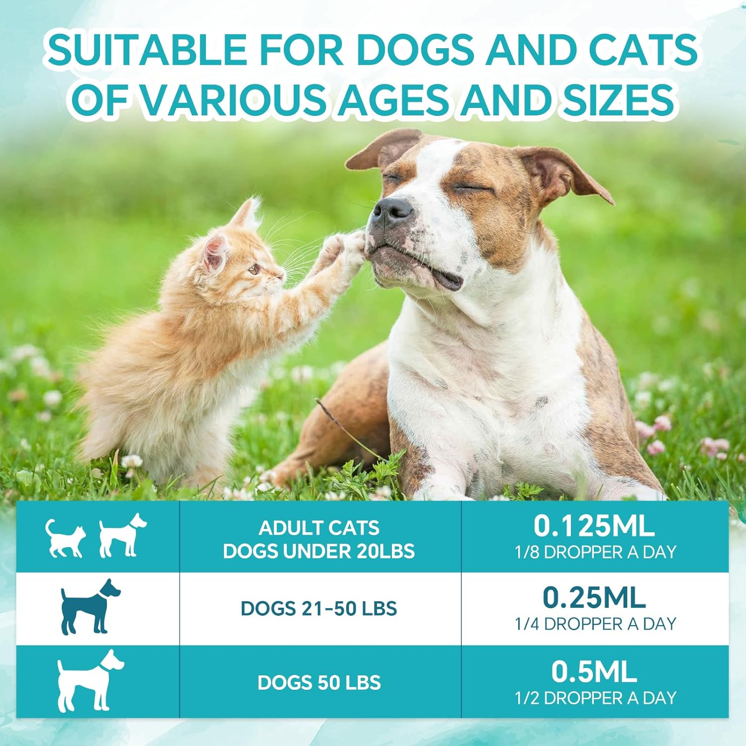 Woyamay Aceite de Cáñamo para Perros y Gatos - Rico en Omega 3, 6, 9 - Extracto Orgánico - Complemento Calmante para Mascotas (1 Pack)