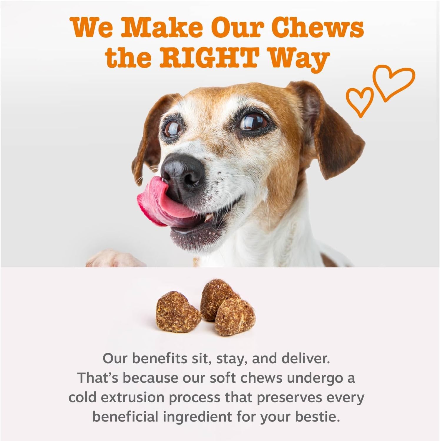 Zesty Paws Omega 3 para Perros - Golosinas de Aceite de Pescado con Vitaminas, 90 unidades