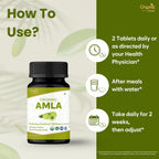 ORGANIC SPREE Tabletas de Amla Orgánico - 1200 mg por dosis - Grosella Espinosa India, Suplemento Rico en Vitamina C, Apoya el Sistema Inmunitario, 120 Tabletas