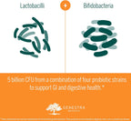 Genestra Brands HMF Cápsulas – Probiótico con Lactobacillus y Bifidobacterium, 60 cápsulas