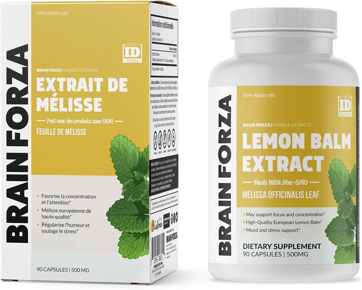 Brain Forza Lemon Balm Extract R5 - 90 Capsules (5% Rosmarinic Acid)