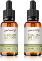 Gynostemma Leaf (Jiao Gu Lan) Tintura Herbal - root + spring