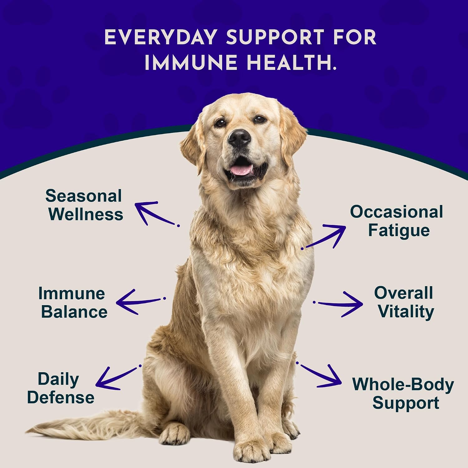 Super Immune – Apoyo Inmunitario para Perros y Gatos con Extracto de Hoja de Olivo y Equinácea – 60 ml